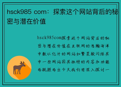 hsck985 com：探索这个网站背后的秘密与潜在价值